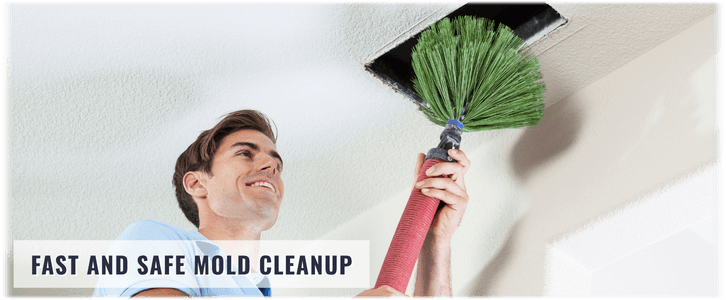 Air Duct Mold Removal in West Palm Beach